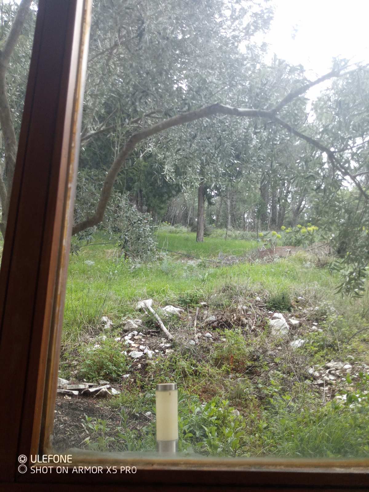 Odlicna kuca na Policama, Trebinje